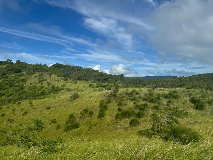 South Molle Island Self Guided Walking Tour - Who Will Get the Most From This Trip?