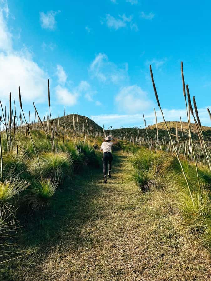 South Molle Island Self Guided Walking Tour - Starting at 296 Whitsunday Drive
