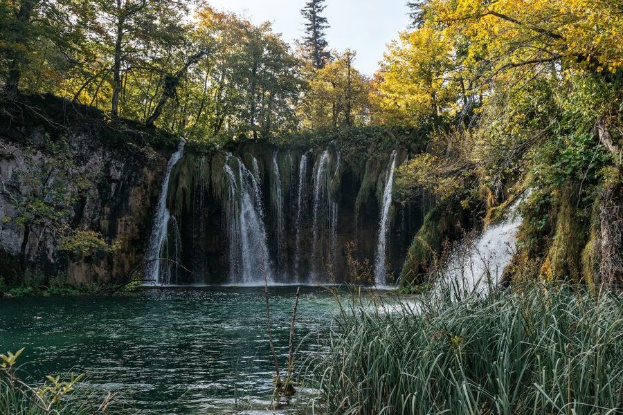 Split: Self-Guided Plitvice Lakes Day Tour with Boat Ride - The electric train through the forest