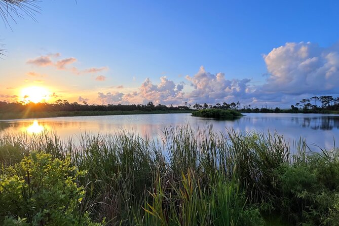 State Park E-Bike Tour: Alligators, Pier, & More [SELF-GUIDED] - Take your time at the pier, beach, and Gator Lake