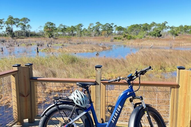 State Park E-Bike Tour: Alligators, Pier, & More [SELF-GUIDED] - Why the self-guided format works