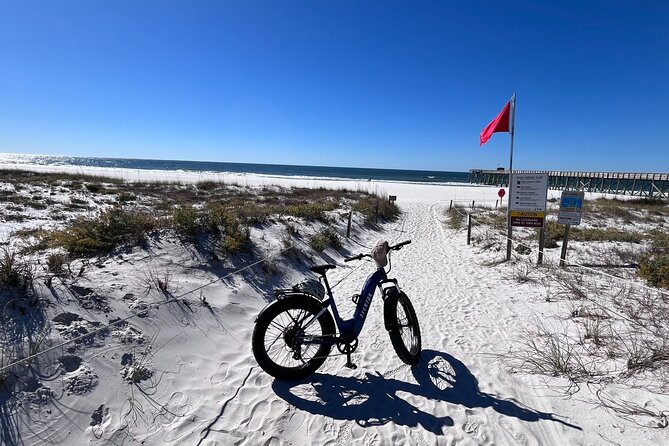 State Park E-Bike Tour: Alligators, Pier, & More [SELF-GUIDED] - Is $67 a good value?