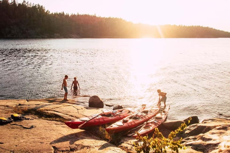 Stockholm: Self Guided Kayak Adventure in Nature Reserve - Finding wildlife along the shoreline