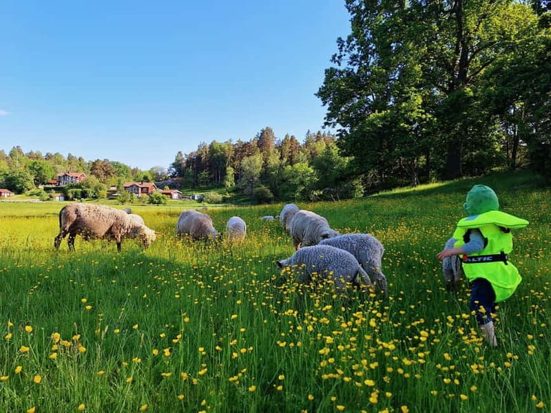 Stockholm: Self Guided Kayak Adventure in Nature Reserve - What the $44 price buys you