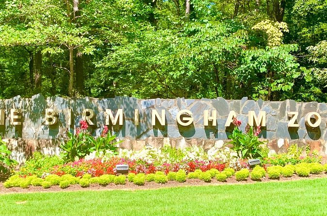 Super City Birmingham Hop On Hop Off Driving App Tour - What is included, and what needs clarification