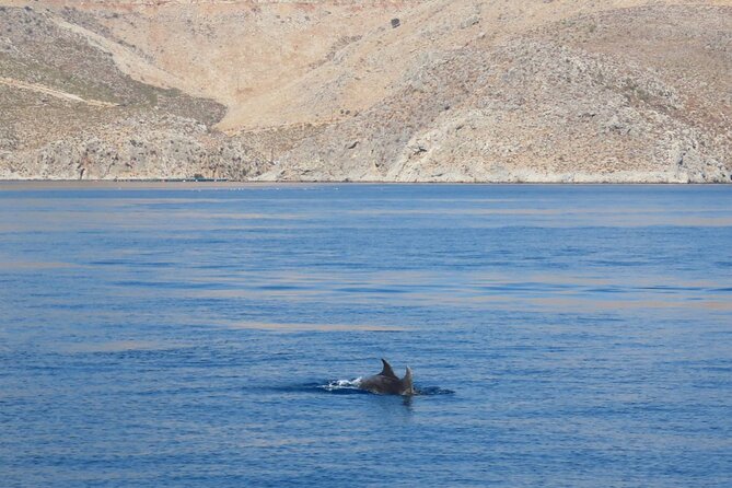The Santa Maria 3 Island Cruise in the Aegean w/ Free Audio Guide - Pserimos gives you a gentle first stop