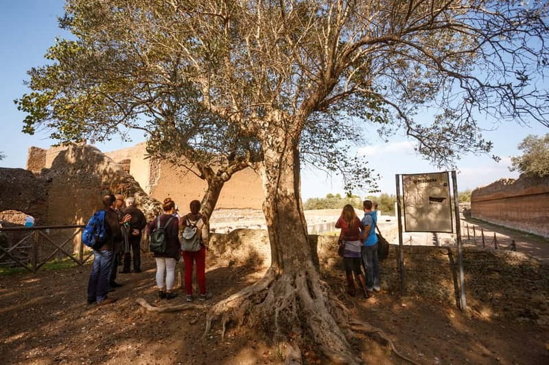 Tivoli: Entrance Ticket to Villa Adriana & App Audioguide - Starting the visit at the ticket office