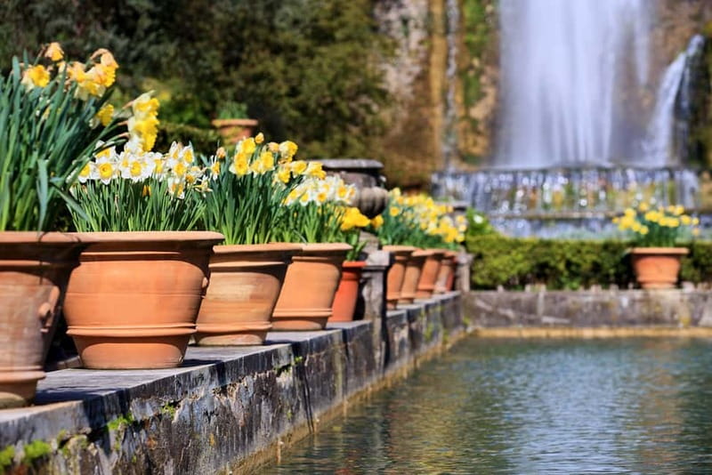 Tivoli: Villa D'Este Entry Ticket and App Audio Guide - How long should you allow?