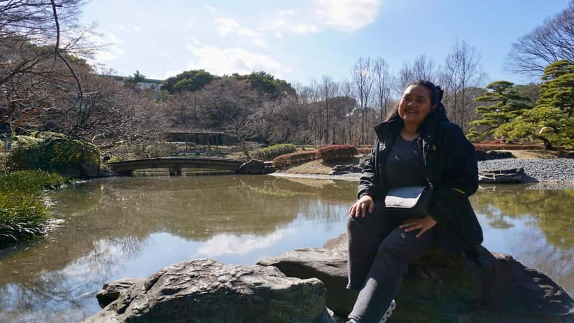Tokyo: Pre Japan Planning Kit: Itineraries, Food & Survival - A few practical checks before you book