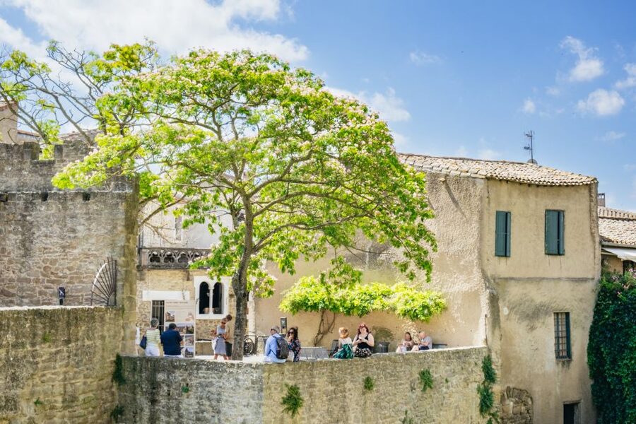 Toulouse: Carcassonne Day Trip by Coach with Audioguide - Château Comtal and the ramparts