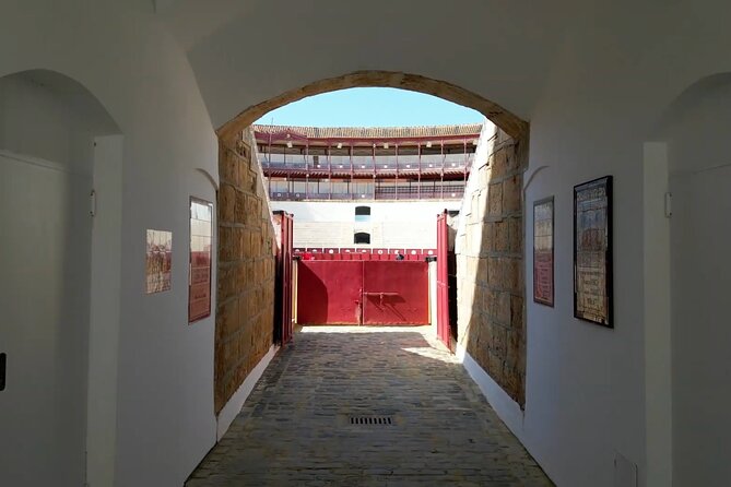 Tour of Malaga Bullring & Bullfighting Museum with Audioguide - The ring itself gives the visit its main moment