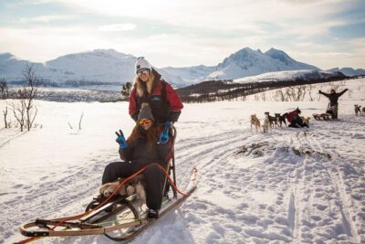 Tromso Husky Self-Drive Sledding with Cake and Drink in Lavvu