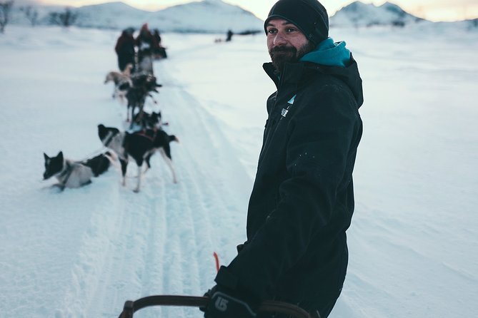 Tromso Husky Self-Drive Sledding with Cake and Drink in Lavvu - Choosing the right departure time