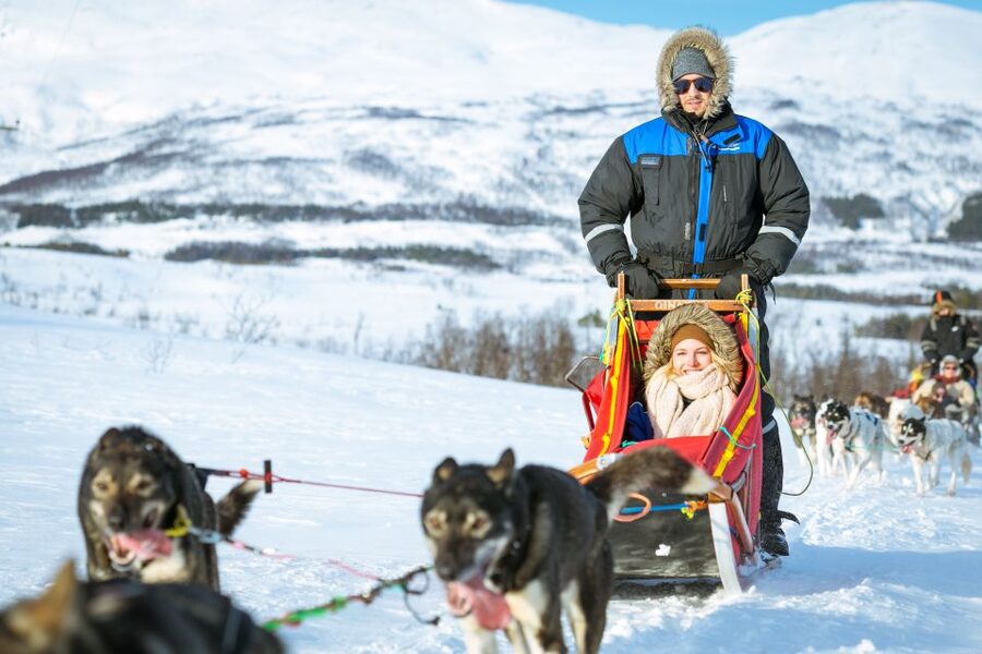 Tromsø: Husky Sled Self-Drive with Traditional Lunch - Snowy views with a little work attached