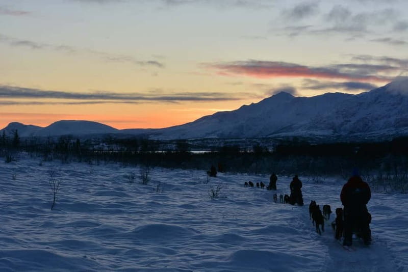 Tromsø: Self-Drive Husky Dog Sledding Adventure - Who should book this experience?