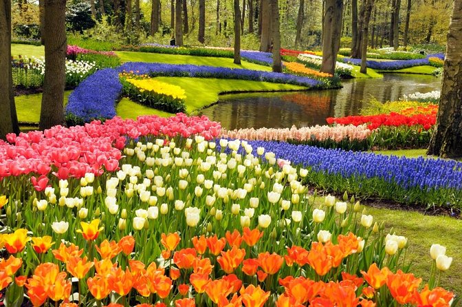 Tulip Fields near Keukenhof - Self-Drive Audio Tour for 2 People - Quick facts about the Twizy tulip tour
