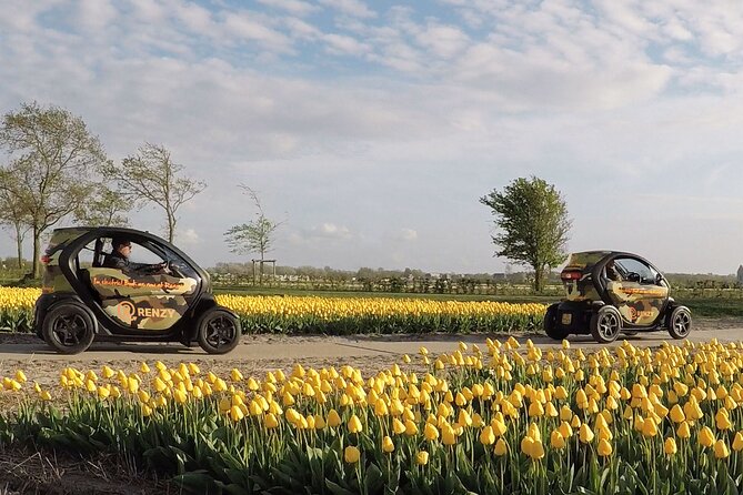 Tulip Fields near Keukenhof - Self-Drive Audio Tour for 2 People - De Tulperij and the flower-farm stop