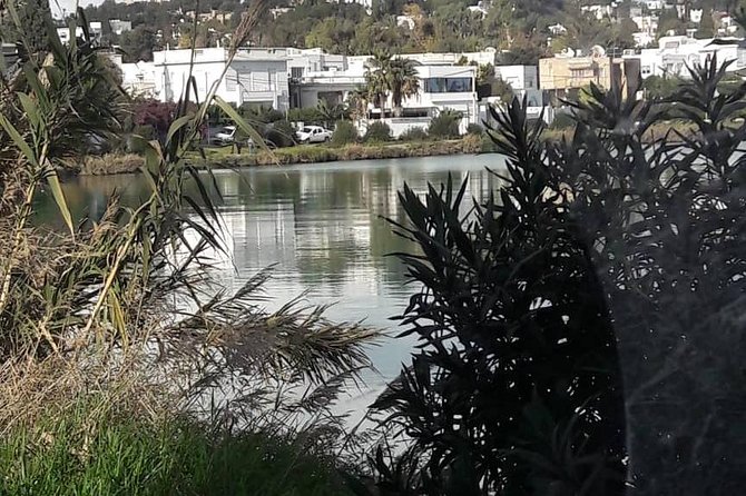 Tunis, Carthage and Sidi Bou Said Self-Guided Excursion from Hammamet - Carthage from the Punic port to the Antonine baths