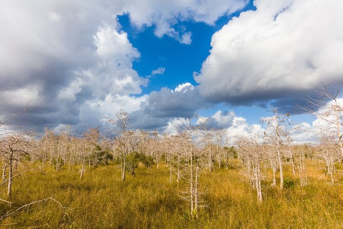 Ultimate Florida Self Guided Driving & Walking Audio Tour Bundle - Everglades National Park and the wetlands