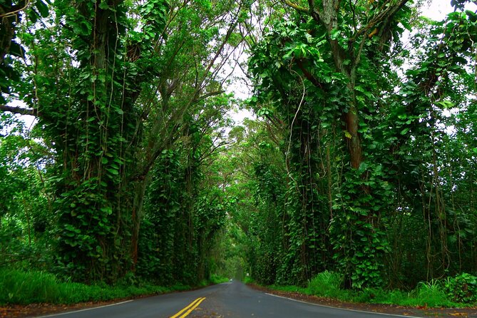 Ultimate Self-Guided Audio Driving Tour of Kauai (Na Pali, Waimea), Hawaii - Using the app without losing your way