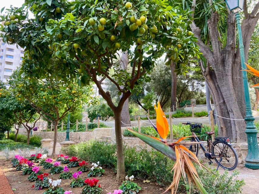 Valencia: 2-in-1 Biking and Walking Audio-Guided Route - What the $29 price really buys