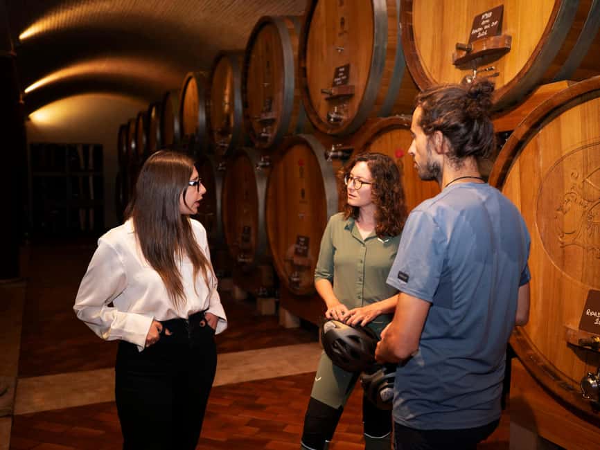 Verona: Valpolicella Wine Self-Guided E-Bike Tour & Tastings - Who will enjoy this day most
