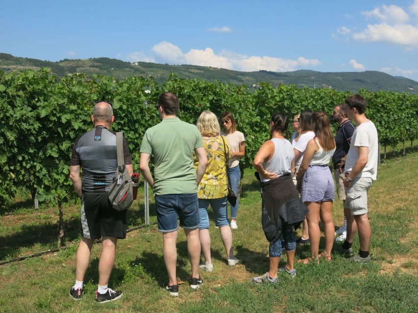 Verona: Valpolicella Wine Self-Guided E-Bike Tour & Tastings - Small details that make the difference