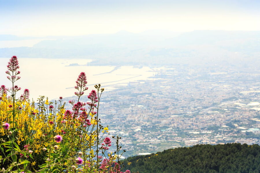 Vesuvio Skip The Line Ticket With Digital Audioguide - What this Vesuvius ticket actually provides