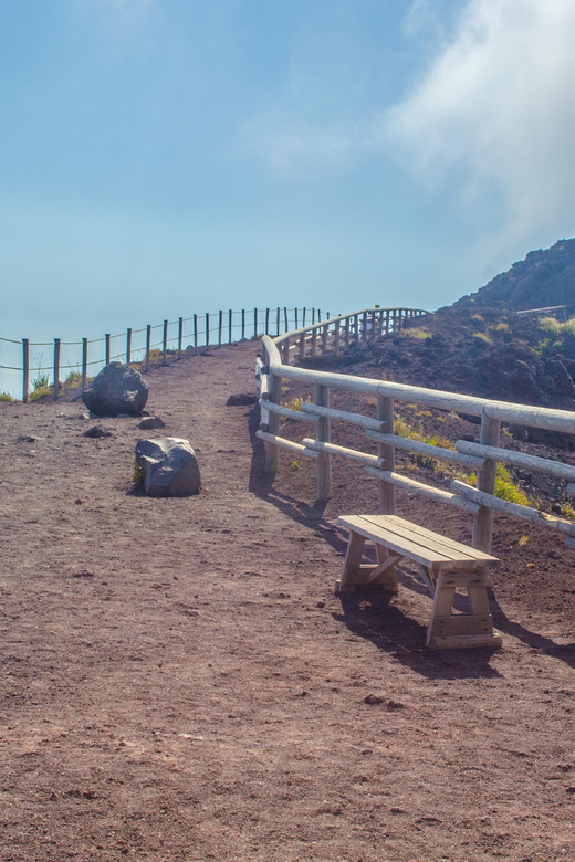 Vesuvius National Park Skip-The-Line Ticket and Audio Guide - Key points to know before booking