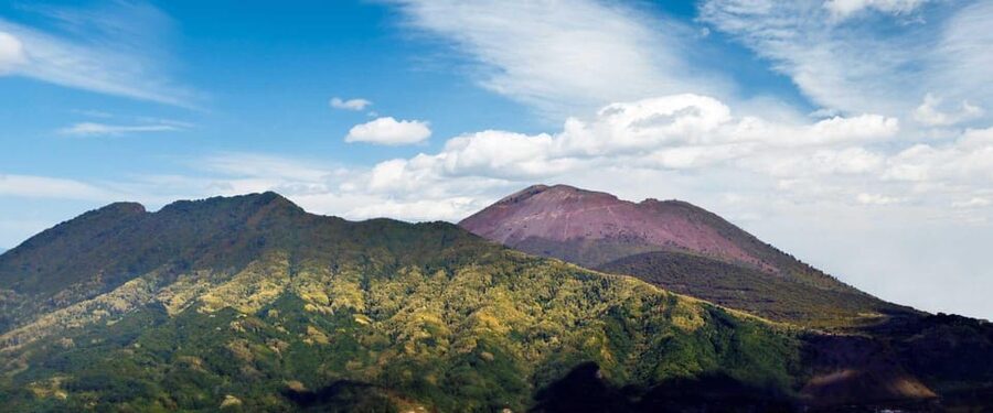 Vesuvius National Park Skip-The-Line Ticket and Audio Guide - Is skip-the-line entry worth $29?
