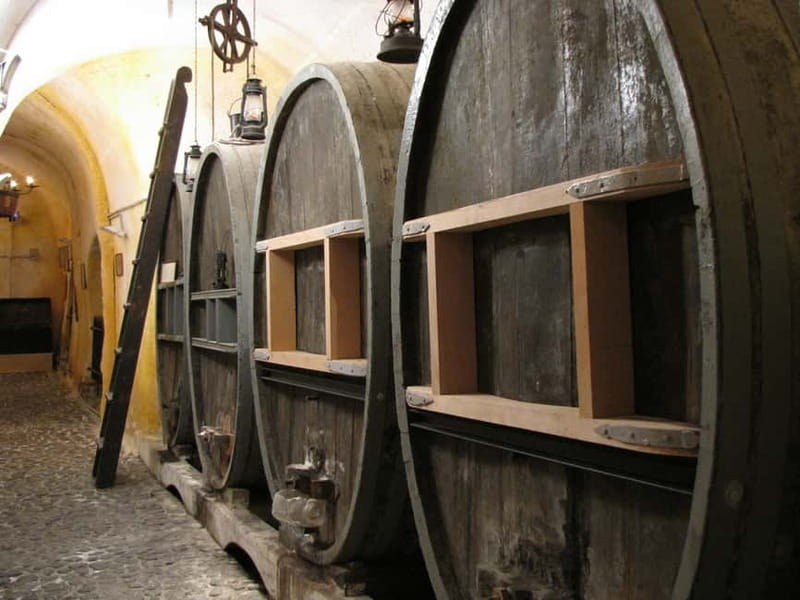 Vothonas: Wine Museum Ticket with Tastings and Audio Guide - What Santorini wine history looks like underground