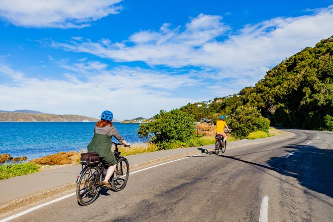 Wellington Self-Guided Electric Bike Tour - Mount Victoria without the usual struggle