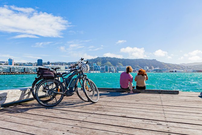 Wellington Self-Guided Electric Bike Tour - Lyall Bay brings beaches and airport views