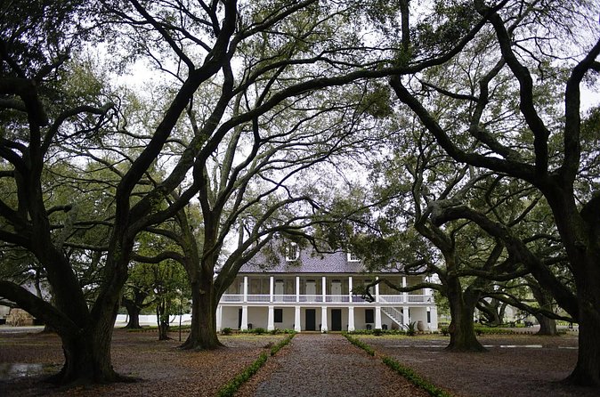 Whitney Plantation Tour with Transportation - Who should book this experience?