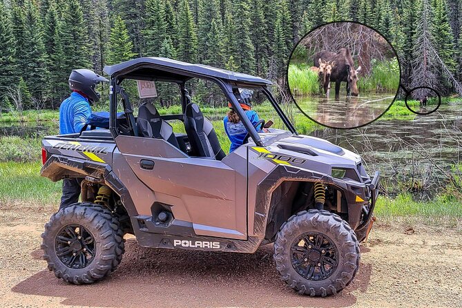 Woodland Park: 4-Hour Self-Guided Mountain UTV Tour - You Drive - The Polaris features that matter on the trail