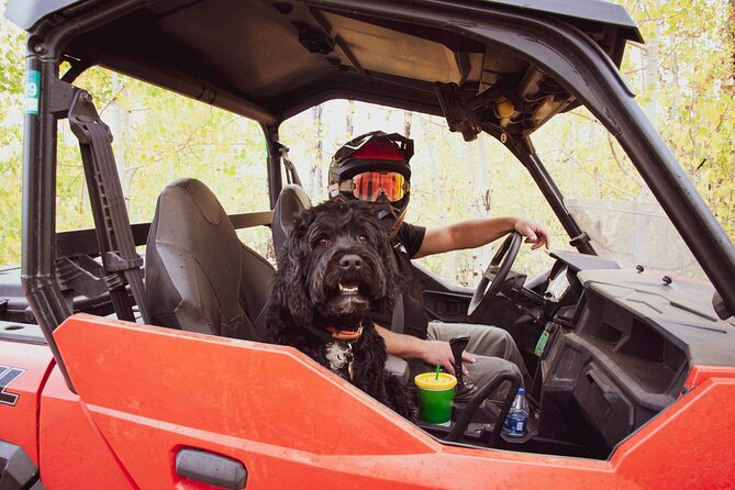 Woodland Park: 4-Hour Self-Guided Mountain UTV Tour - You Drive - Who will enjoy this four-hour outing