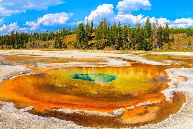 Yellowstone National Park Self-Guided Driving Audio Tour - East Entrance, Fishing Bridge, and Yellowstone Lake